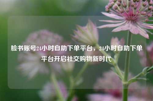 脸书账号24小时自助下单平台，24小时自助下单平台开启社交购物新时代