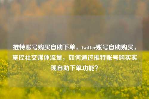 推特账号购买自助下单，twitter账号自助购买，掌控社交媒体流量，如何通过推特账号购买实现自助下单功能？