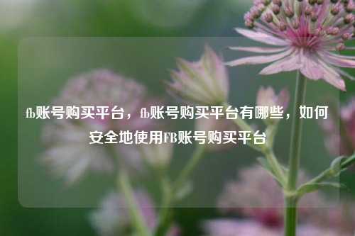 fb账号购买平台，fb账号购买平台有哪些，如何安全地使用FB账号购买平台