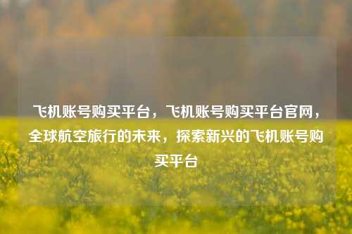 飞机账号购买平台，飞机账号购买平台官网，全球航空旅行的未来，探索新兴的飞机账号购买平台