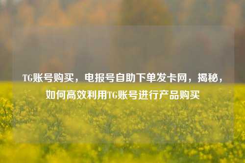TG账号购买，电报号自助下单发卡网，揭秘，如何高效利用TG账号进行产品购买