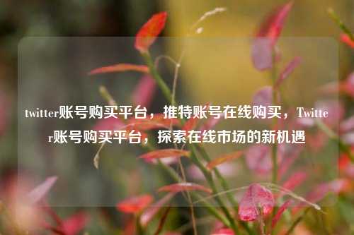 twitter账号购买平台，推特账号在线购买，Twitter账号购买平台，探索在线市场的新机遇