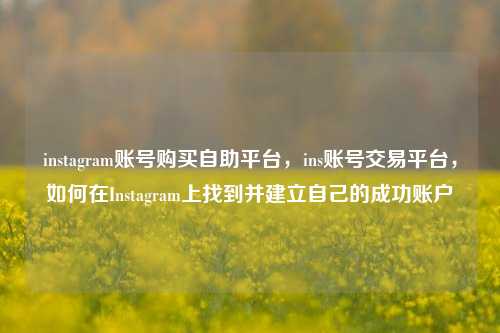 instagram账号购买自助平台，ins账号交易平台，如何在Instagram上找到并建立自己的成功账户