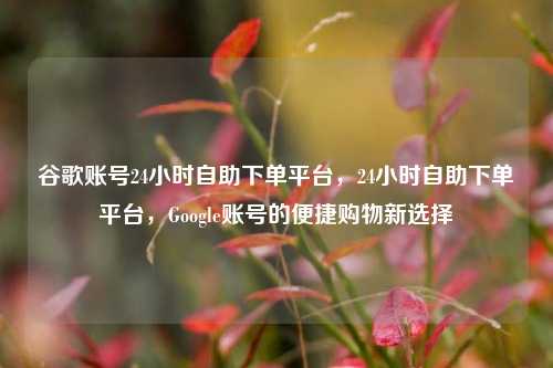 谷歌账号24小时自助下单平台，24小时自助下单平台，Google账号的便捷购物新选择