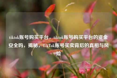 tiktok账号购买平台，tiktok账号购买平台的资金安全吗，揭秘，TikTok账号买卖背后的真相与风险