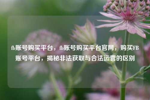 fb账号购买平台，fb账号购买平台官网，购买FB账号平台，揭秘非法获取与合法运营的区别