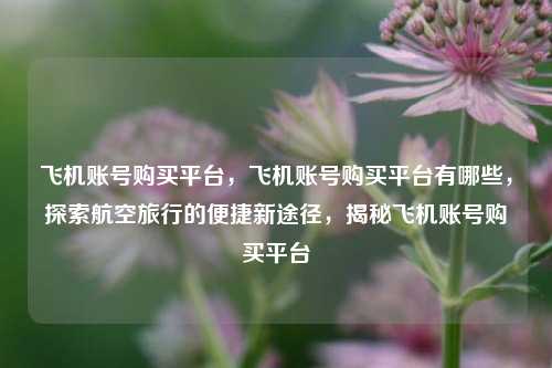 飞机账号购买平台，飞机账号购买平台有哪些，探索航空旅行的便捷新途径，揭秘飞机账号购买平台