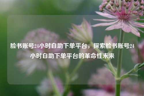 脸书账号24小时自助下单平台，探索脸书账号24小时自助下单平台的革命性未来