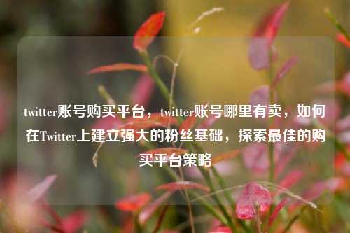 twitter账号购买平台，twitter账号哪里有卖，如何在Twitter上建立强大的粉丝基础，探索最佳的购买平台策略