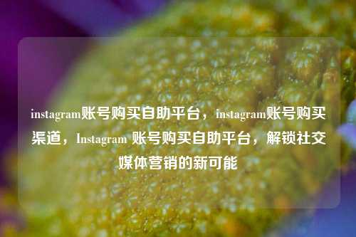 instagram账号购买自助平台，instagram账号购买渠道，Instagram 账号购买自助平台，解锁社交媒体营销的新可能