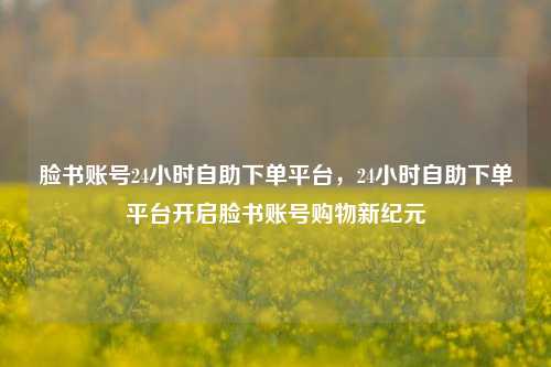 脸书账号24小时自助下单平台，24小时自助下单平台开启脸书账号购物新纪元