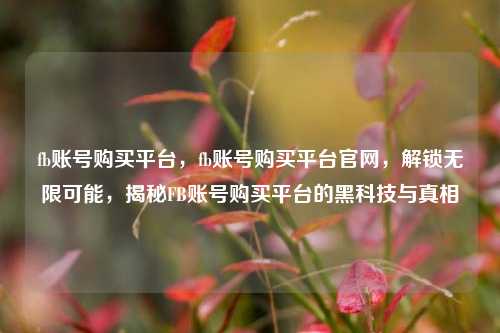 fb账号购买平台，fb账号购买平台官网，解锁无限可能，揭秘FB账号购买平台的黑科技与真相