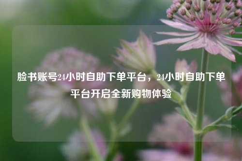 脸书账号24小时自助下单平台，24小时自助下单平台开启全新购物体验