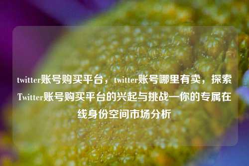 twitter账号购买平台，twitter账号哪里有卖，探索Twitter账号购买平台的兴起与挑战—你的专属在线身份空间市场分析